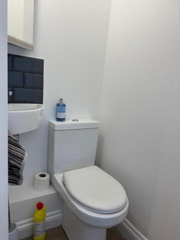 Netflix Home Jacuzzi Gym Fast Wifi Ps5 Free Parking 2 Spaces Херфорд Екстериор снимка